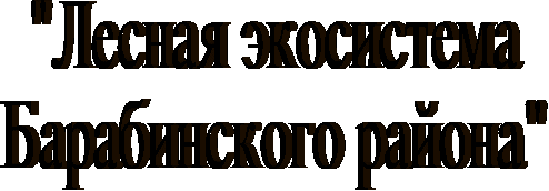 Лесная экосистема Барабинского района, 9 класс