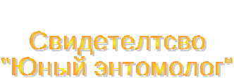 Урок для 7-8 классов: "Насекомые и их знакомые"