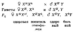 Шпаргалки (биология) для выпускных экзаменов в 11 классе