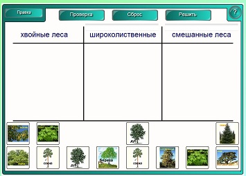 Конспект урока для 4 класса "Лес – природное сообщество"