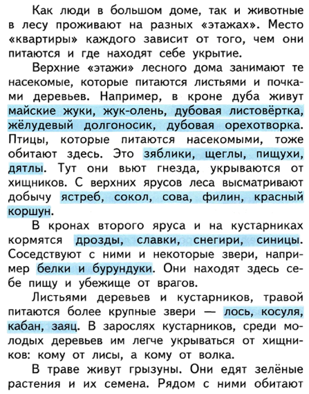 Конспект урока для 4 класса "Лес – природное сообщество"