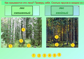 Конспект урока для 4 класса "Лес – природное сообщество"