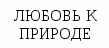 Урок литературы в 7 классе «Верь в великую силу любви!» (По повести А.Платонова «Юшка»)