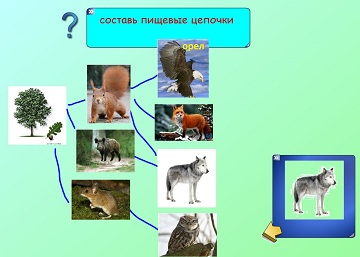 Конспект урока для 4 класса "Лес – природное сообщество"