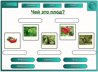 Конспект урока для 4 класса "Лес – природное сообщество"