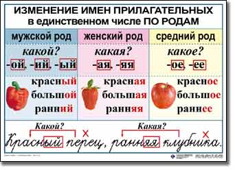 Конспект урока по русскому языку "Изменение прилагательных по родам. Правописание родовых окончаний имен прилагательных" 3 класс