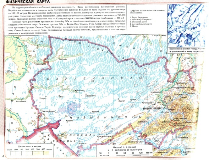 Лесная экосистема Барабинского района, 9 класс