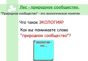 Конспект урока для 4 класса "Лес – природное сообщество"