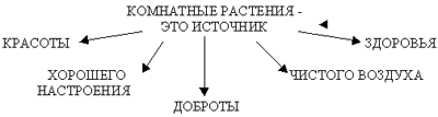 Урок для 1 класса по теме: "Комнатные растения у нас дома"