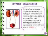 Конспект урока окружающего мира для 3 класса «Организм человека»