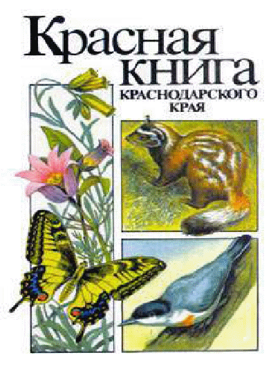 Разработка урока - лото по теме: «Красная книга Краснодарского края» (8 - 9 классы)