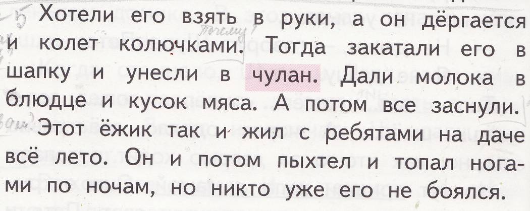 Урок литературного чтения во 2 классе «Евгений Чарушин «Страшный рассказ»»