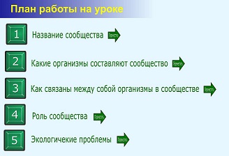 Конспект урока для 4 класса "Лес – природное сообщество"