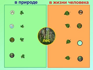 Конспект урока для 4 класса "Лес – природное сообщество"