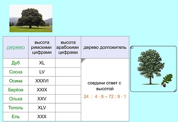 Конспект урока для 4 класса "Лес – природное сообщество"