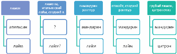 Конспект урока по общей биологии в 11 классе «Гибридизация цитрусовых»