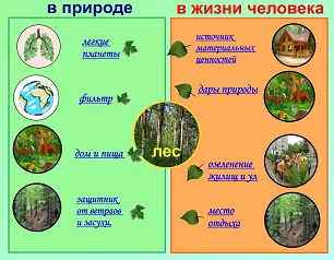 Конспект урока для 4 класса "Лес – природное сообщество"