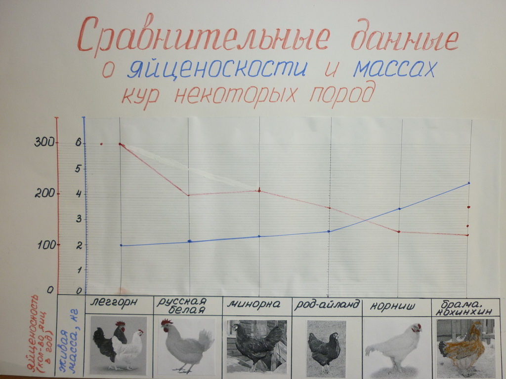 Конспект урока по Математике "Решение задач на нахождение дроби от числа, числа по его дроби" 6 класс