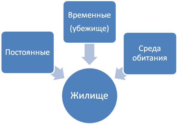 Урок экологии в 7 классе на тему: «Жилища животных»