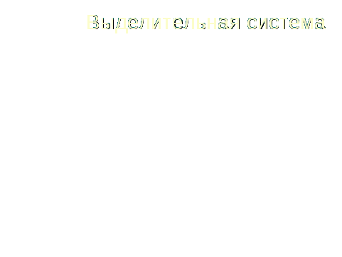 Урок по теме: "ВНУТРЕННЕЕ СТРОЕНИЕ МЛЕКОПИТАЮЩИХСЯ: ПИЩЕВАРИТЕЛЬНАЯ, ДЫХАТЕЛЬНАЯ, КРОВЕ-НОСНАЯ И ВЫДЕЛИТЕЛЬНАЯ СИСТЕМЫ" для 7 класса