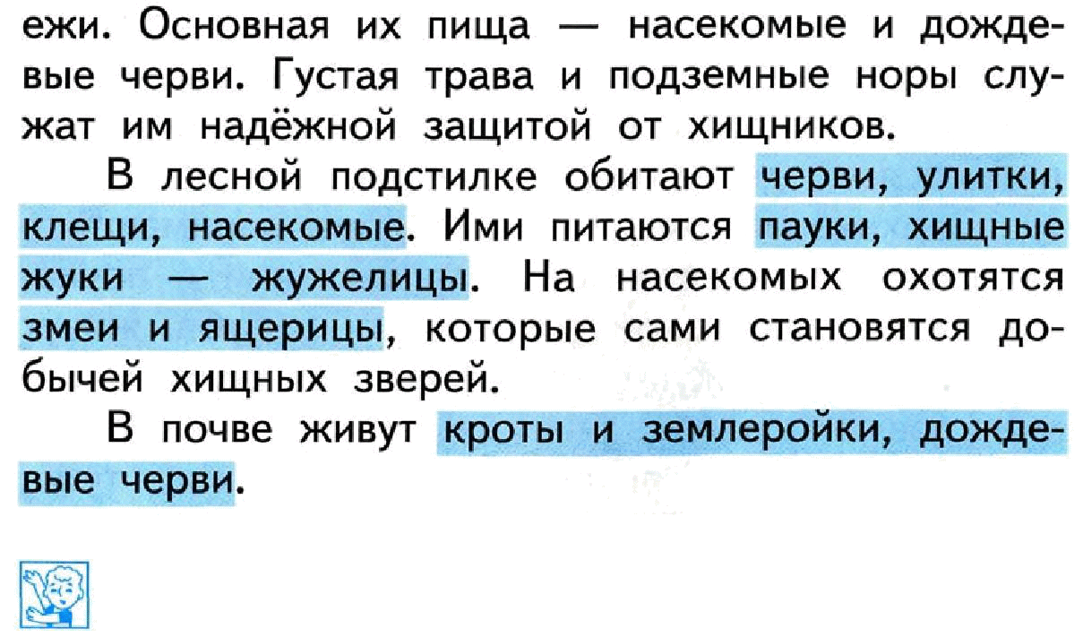 Конспект урока для 4 класса "Лес – природное сообщество"