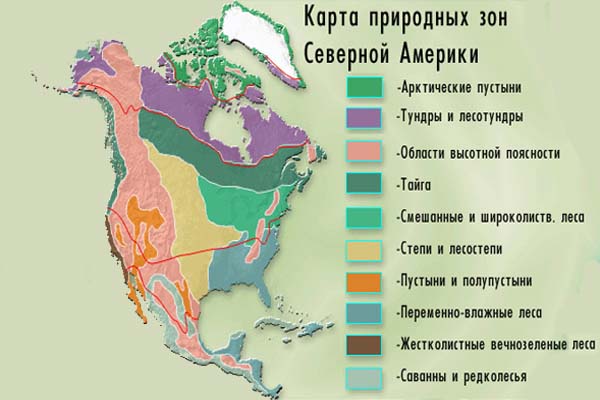 Конспект урока по Географии "Природные зоны Северной Америки" 7 класс