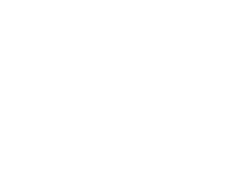 Урок - пресс-конференция в 11 классе на тему: «Политические репрессии 1920-1940гг. в СССР и Казахстане»