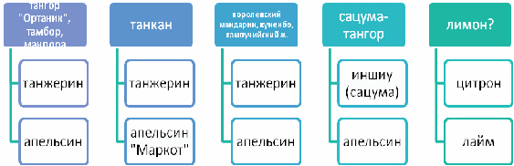 Конспект урока по общей биологии в 11 классе «Гибридизация цитрусовых»