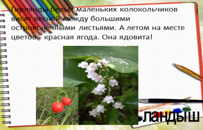 План - конспект урока русского языка в 3 классе «Правописание мягкого знака после шипящих на конце имен существительных женского рода»