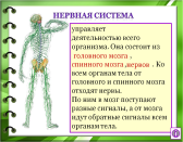 Конспект урока окружающего мира для 3 класса «Организм человека»