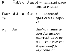 Шпаргалки (биология) для выпускных экзаменов в 11 классе