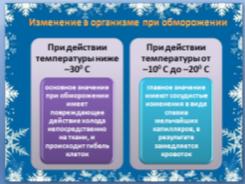 конспект урока для 6 класса «Осторожно! Зима!» или «Береги здоровье и жизнь смолоду!»