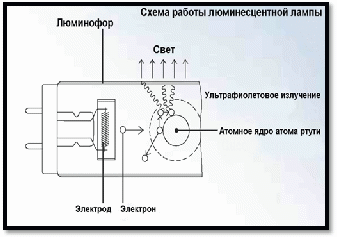 по теме ученица 11 класса «Б» моу «сош №1»