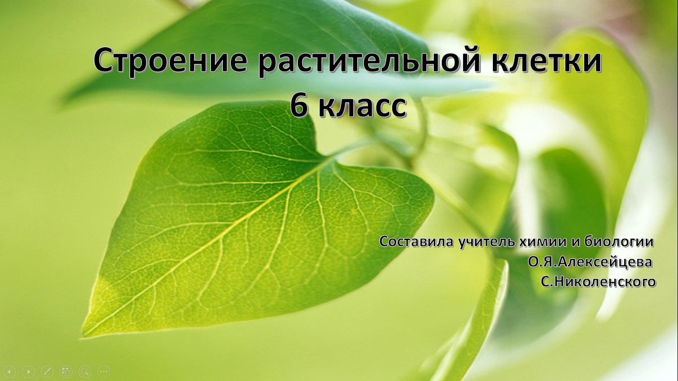 Конспект урока биологии для 6 класса "Строение растительной клетки"