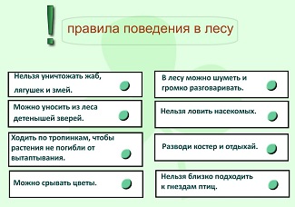 Конспект урока для 4 класса "Лес – природное сообщество"