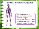 Конспект урока окружающего мира для 3 класса «Организм человека»