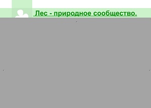 Конспект урока для 4 класса "Лес – природное сообщество"