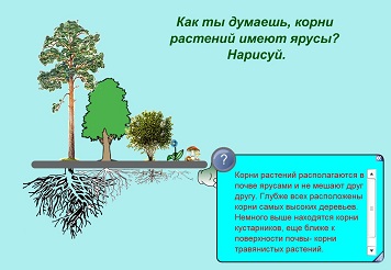 Конспект урока для 4 класса "Лес – природное сообщество"