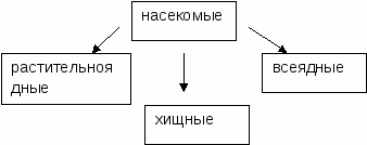 Конспект урока для 2 класса "Насекомые"