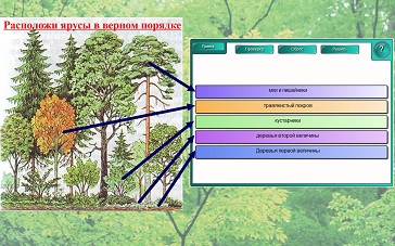 Конспект урока для 4 класса "Лес – природное сообщество"