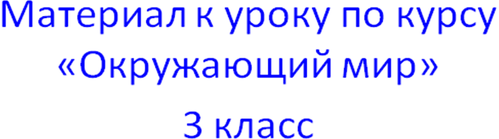 Конспект урока по курсу «Окружающий мир» 3 класс УМК «Школа России» тема урока «Опасные места»