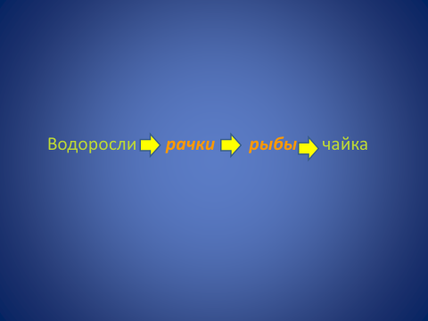 Конспект урока для 4 класса "Суровая Арктика"