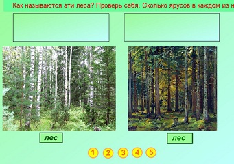 Конспект урока для 4 класса "Лес – природное сообщество"