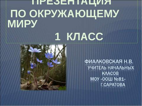 Презентация на тему "Что общего у разных растений?" по окружающему миру