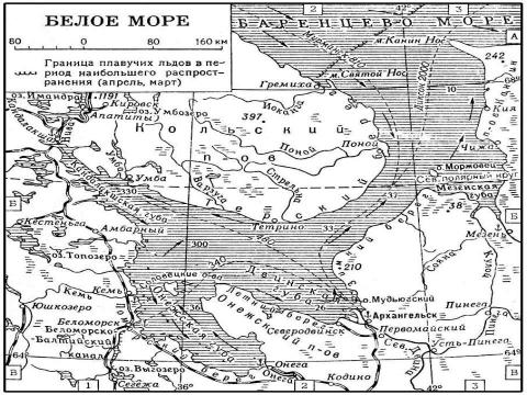 Презентация на тему "Белое море" по окружающему миру