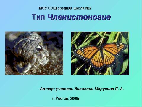 Презентация на тему "Тип Членистоногие" по биологии