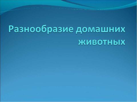 Презентация на тему "Разнообразие домашних животных" по начальной школе