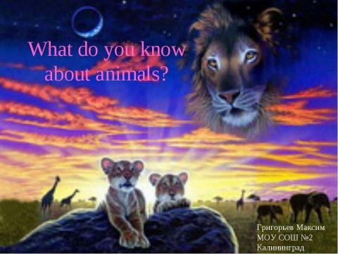 Презентация на тему "What do you know about animals?" по английскому языку