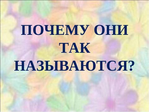 Презентация на тему "Почему они так называются?" по окружающему миру