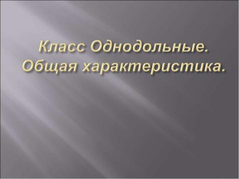 Презентация на тему "Класс Однодольные. Общая характеристика" по биологии